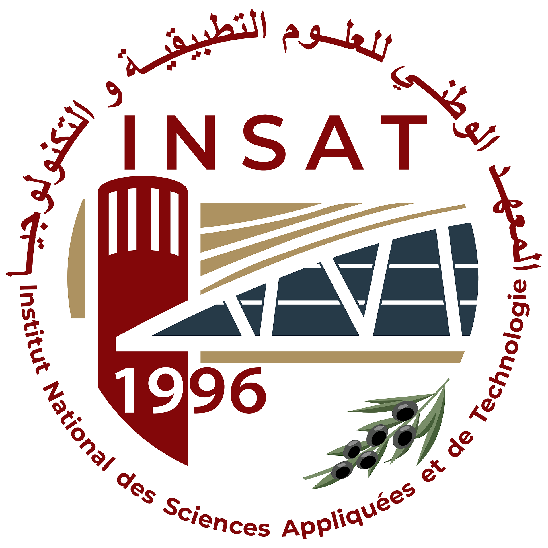 INSAT Logo